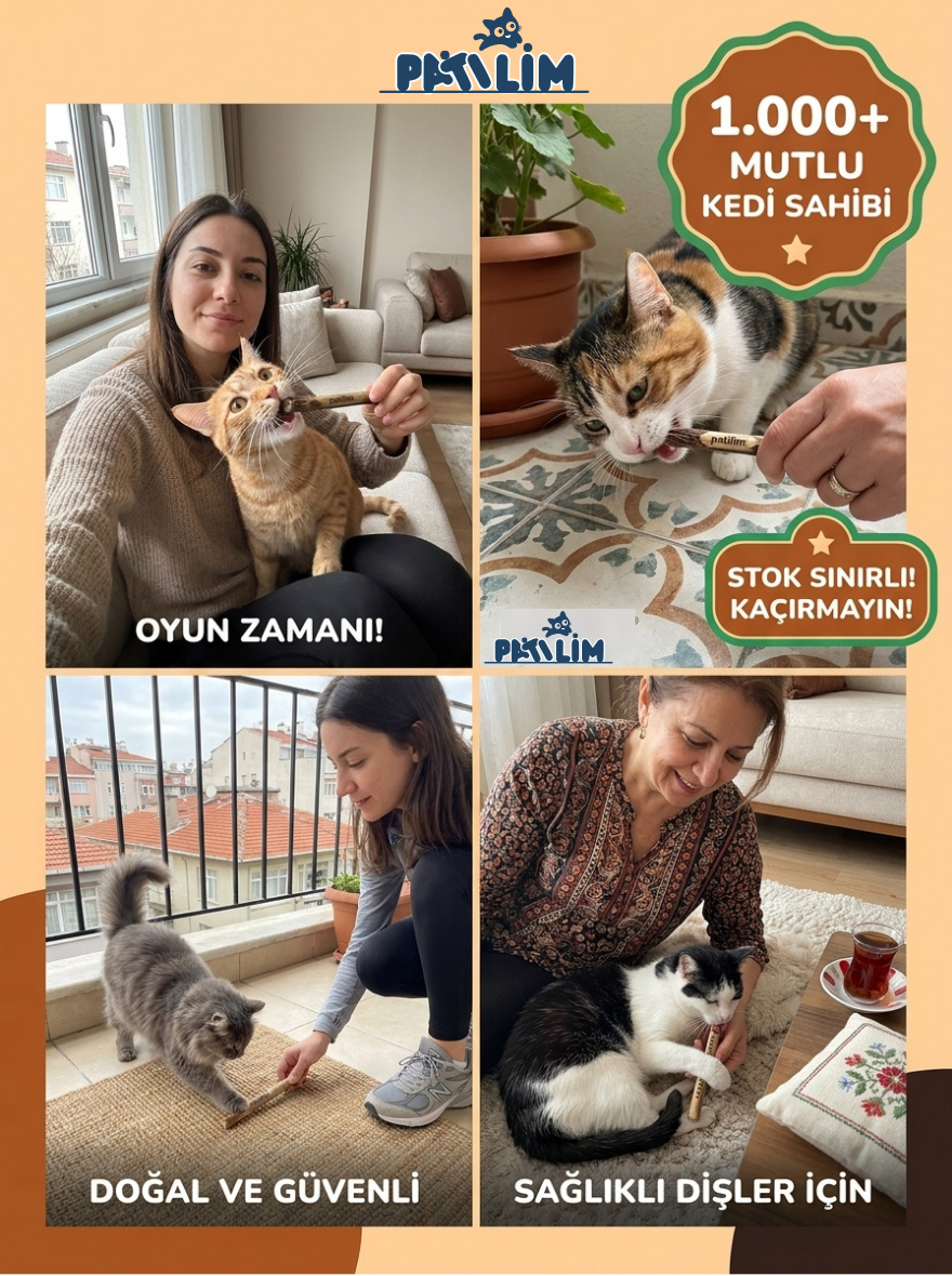 Patilim Doğal Matatabi Çubukları