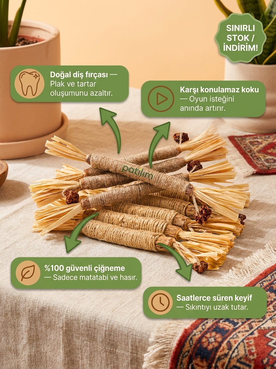 Patilim Doğal Matatabi Çubukları