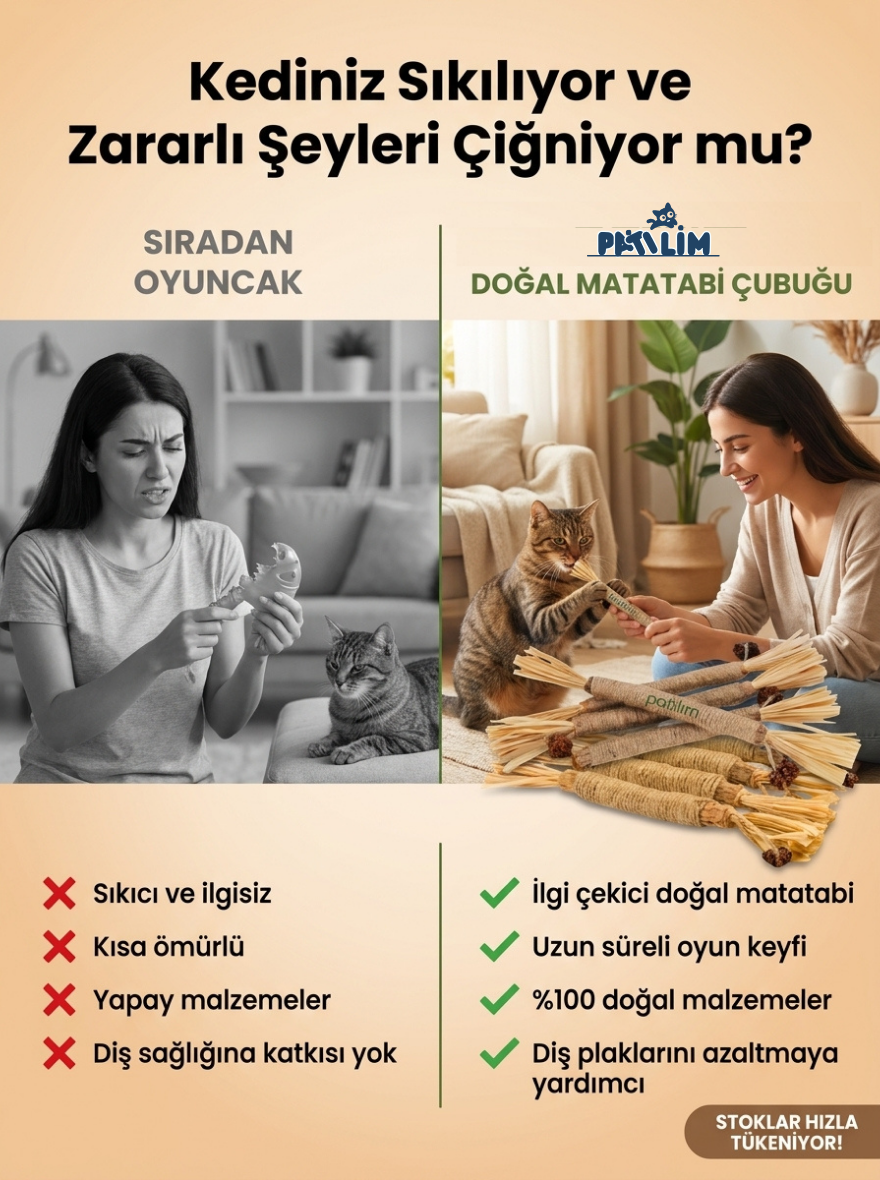 Patilim Doğal Matatabi Çubukları