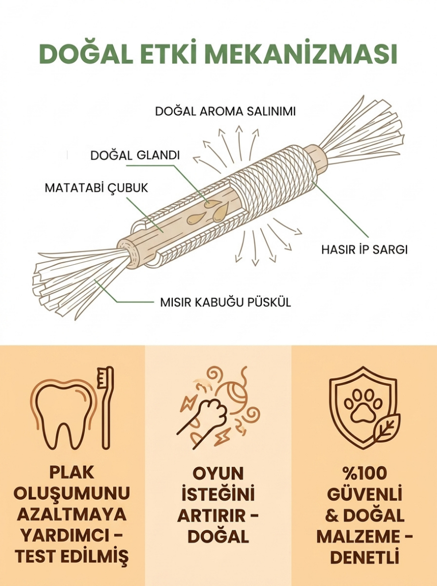 Patilim Doğal Matatabi Çubukları