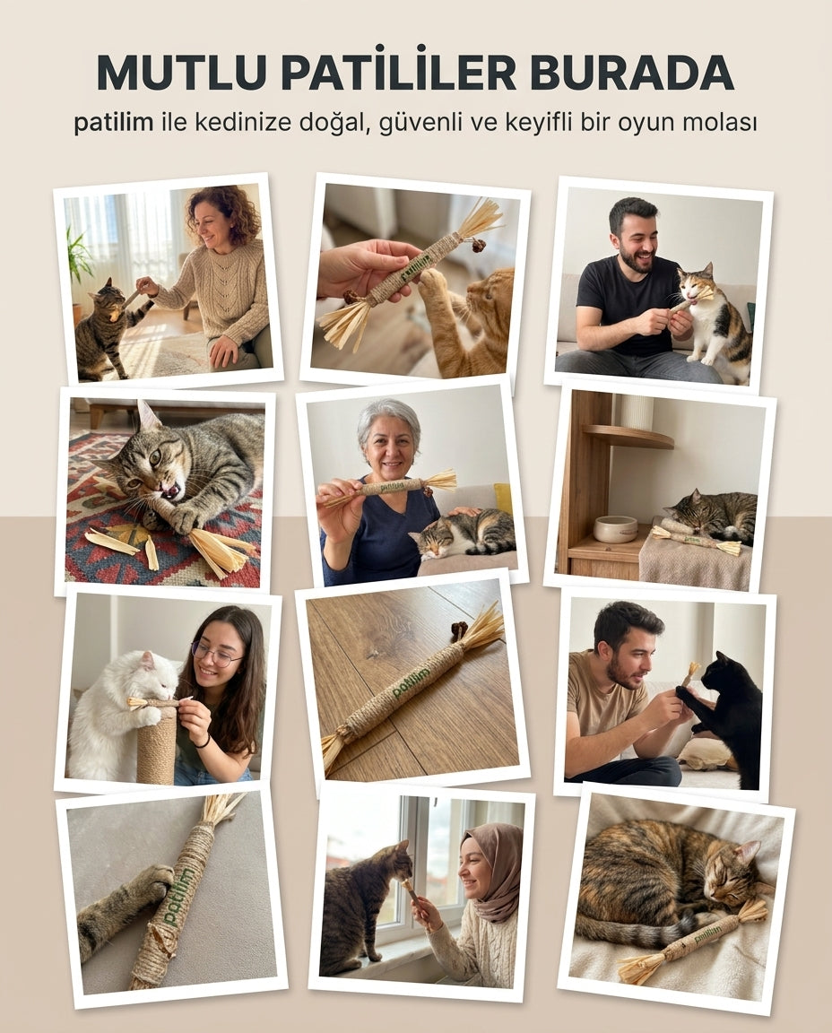Patilim Doğal Matatabi Çubukları